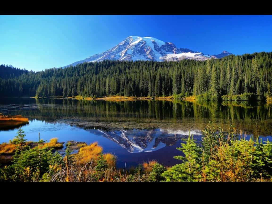 Picture of Mount Rainier National Park