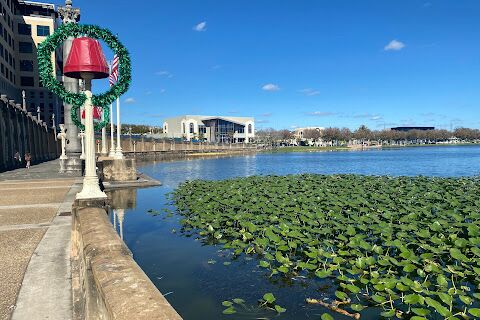 Picture of Lake Miror