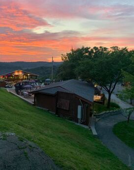 Picture of Yogi Bear's Jellystone Park