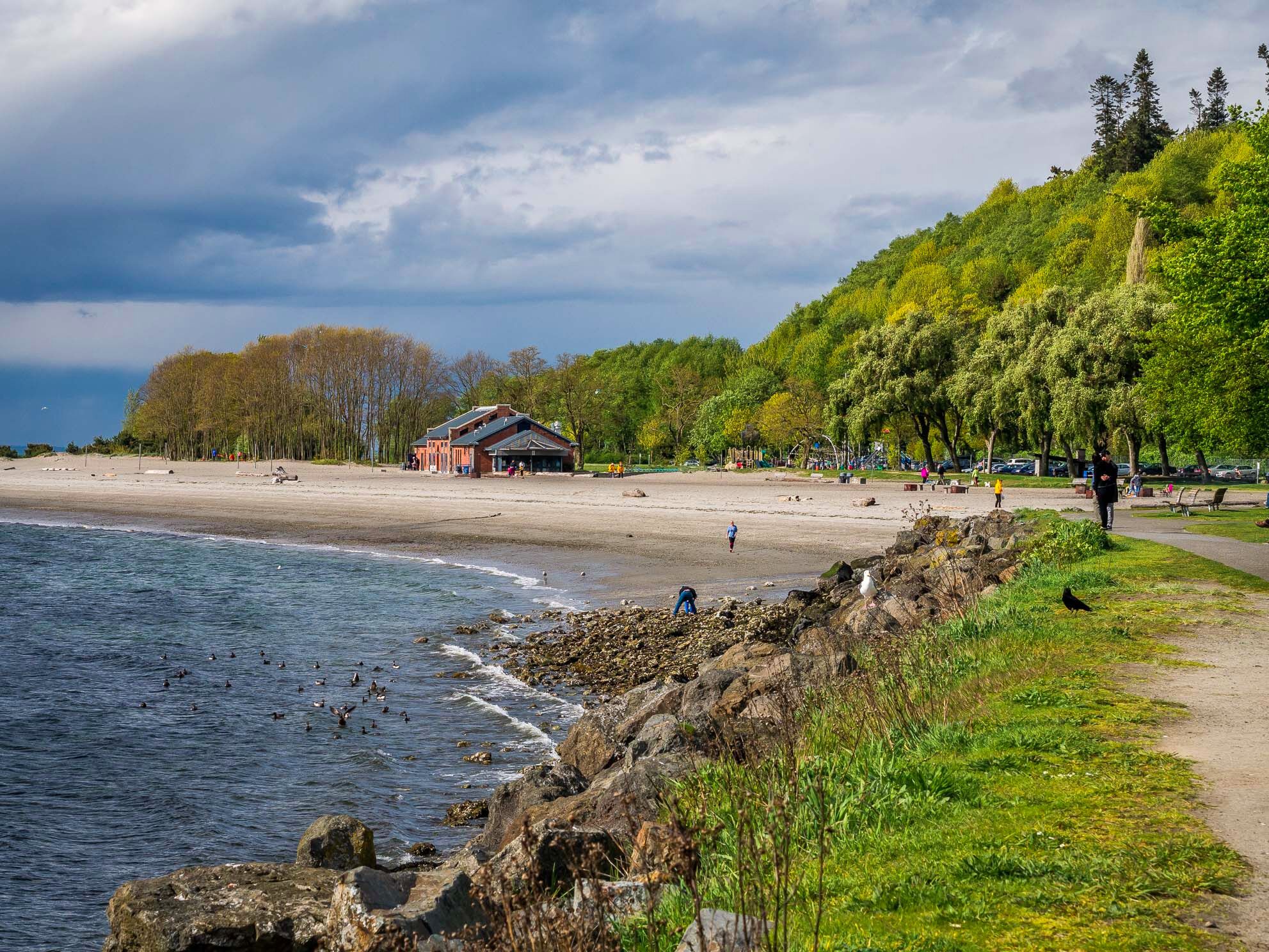 Picture of Golden Gardens Park