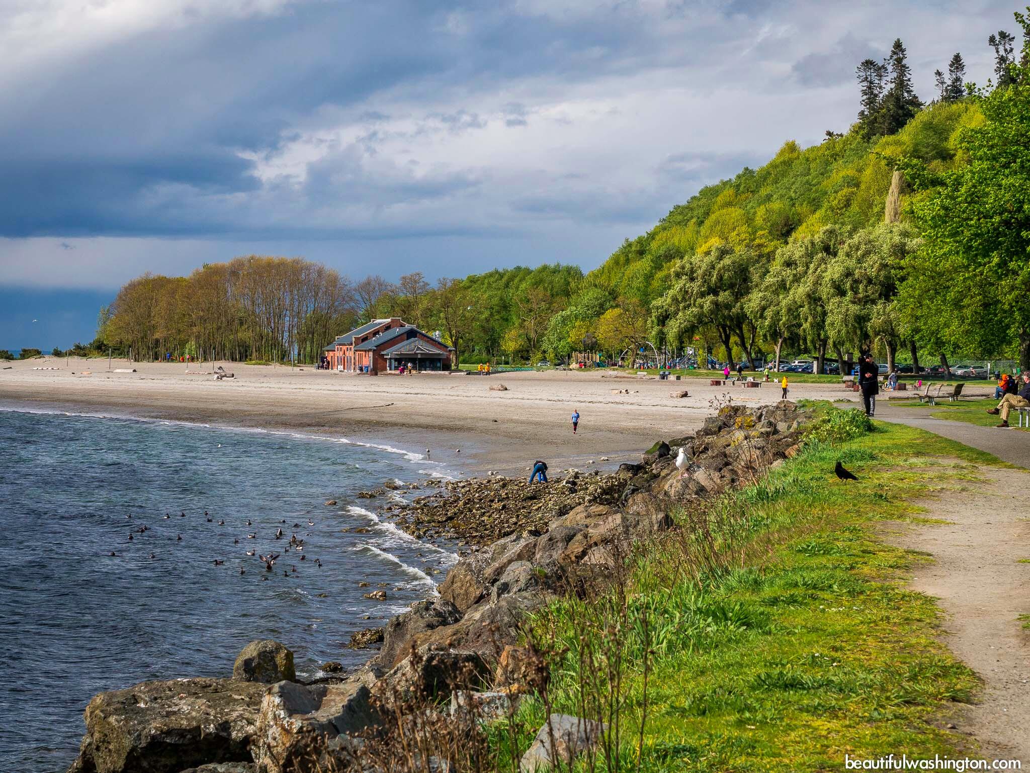 Picture of Golden Gardens Park