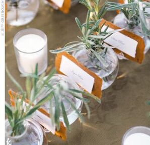 The Escort Cards
