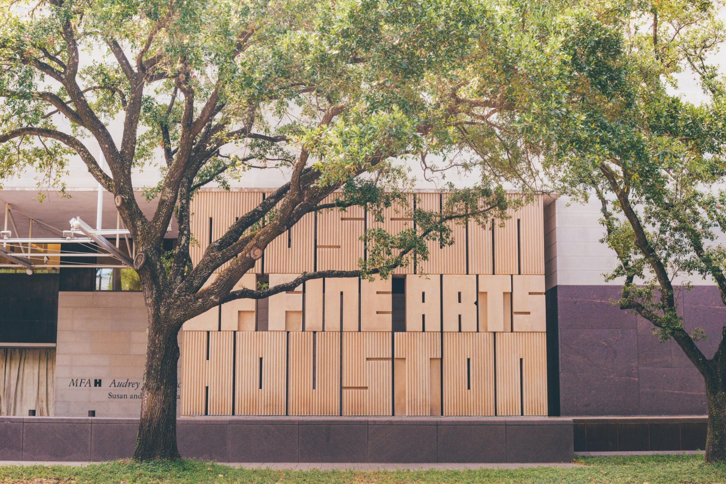 Picture of The Museum of Fine Arts