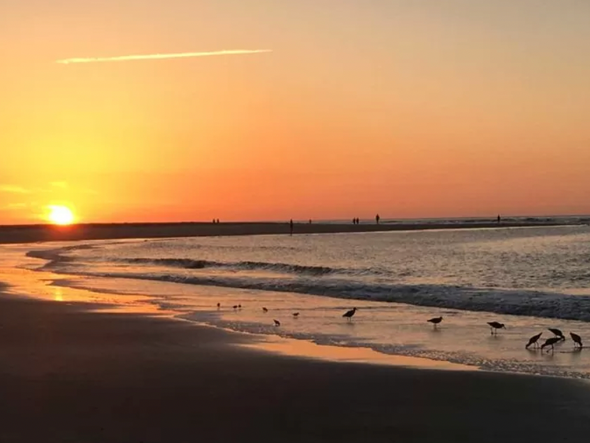 Picture of East Beach