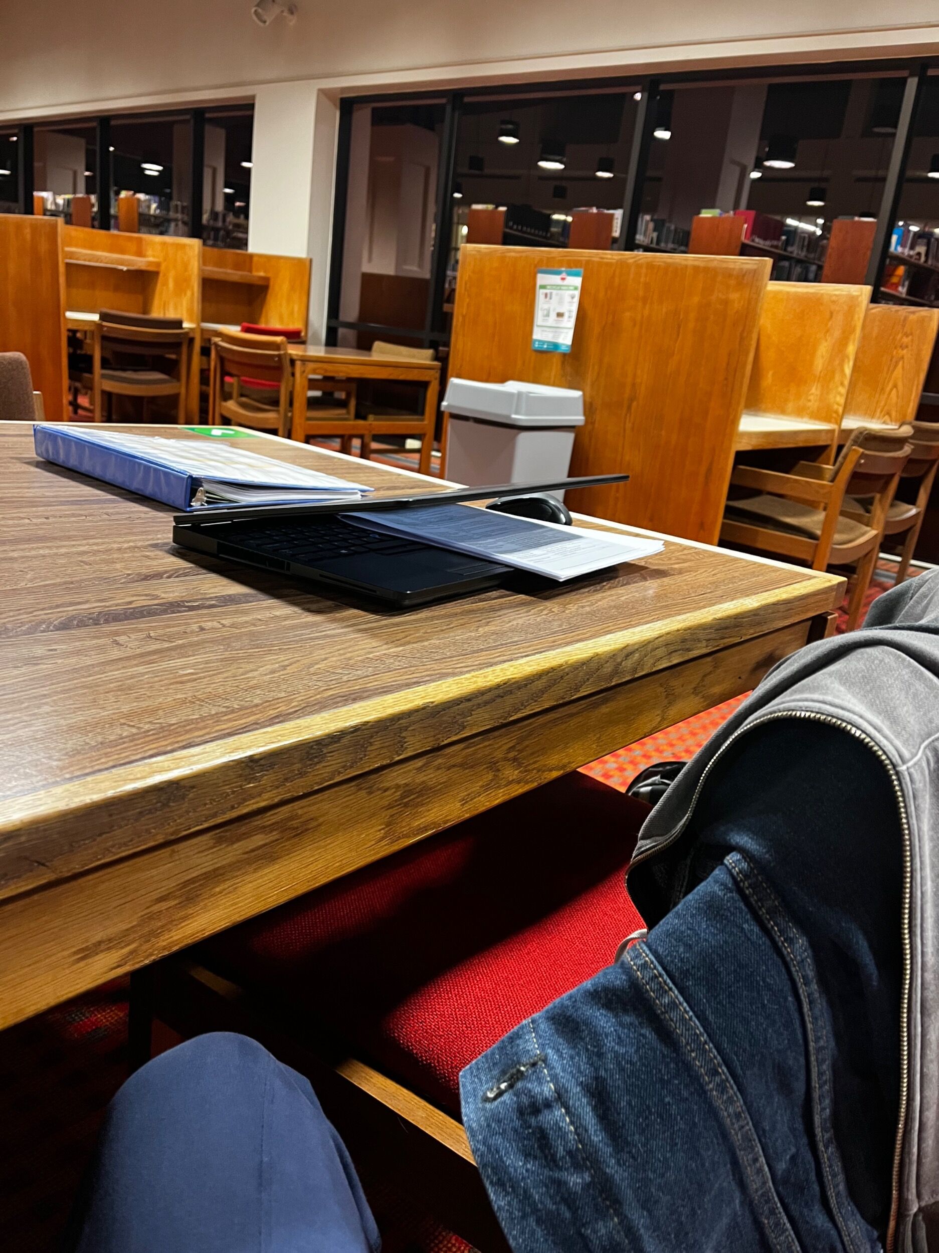 Picture of Library Lingering
