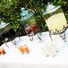 Non-Alcoholic Cocktail Hour Drinks
