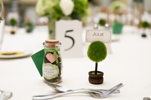 Wildflower Seed and Dianthus Wedding Favors