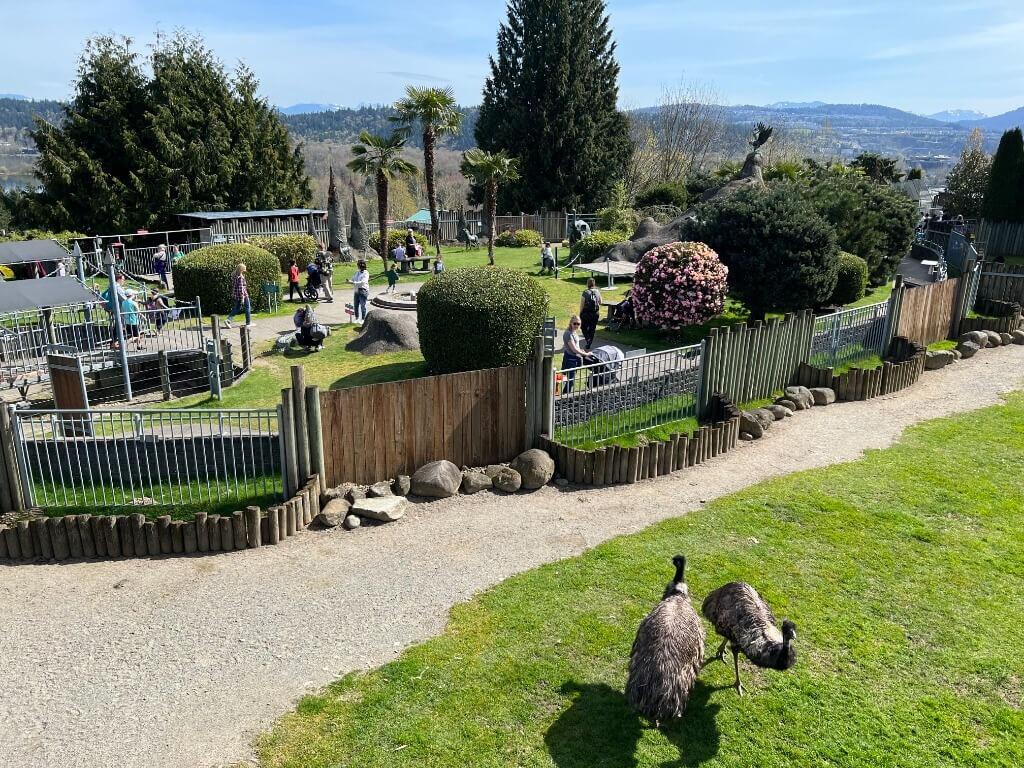 Picture of Cougar Mountain Zoo