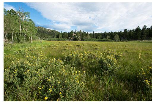 Picture of Hermit Park