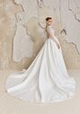 Justin Alexander Signature Brooks Ball Gown Wedding Dress - thumbnail - 2