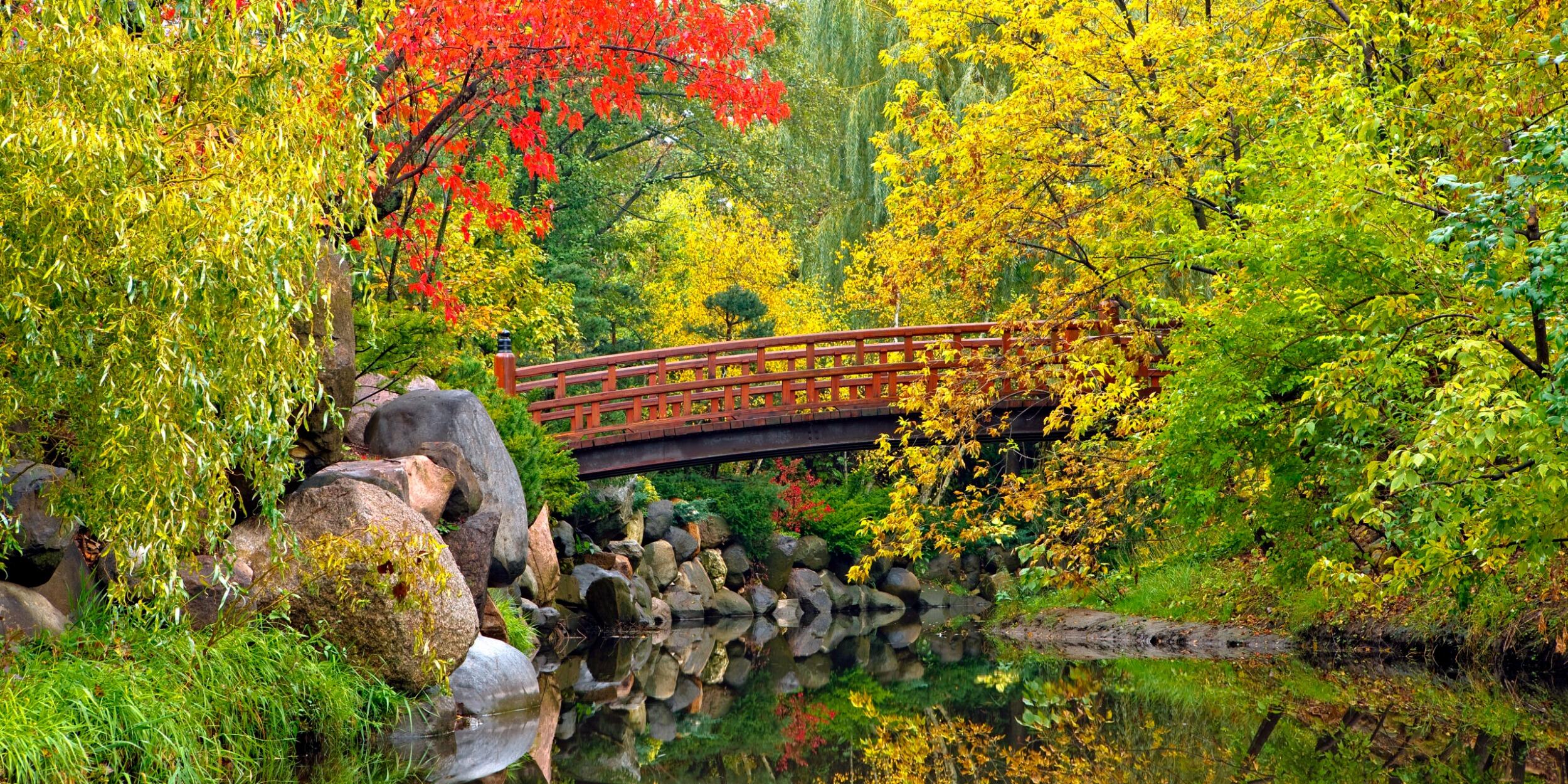 Picture of Anderson Japanese Gardens