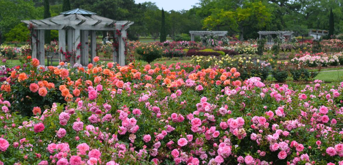 Picture of Norfolk Botanical Garden
