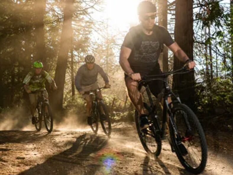 Picture of Stay at Tenaya Lodge