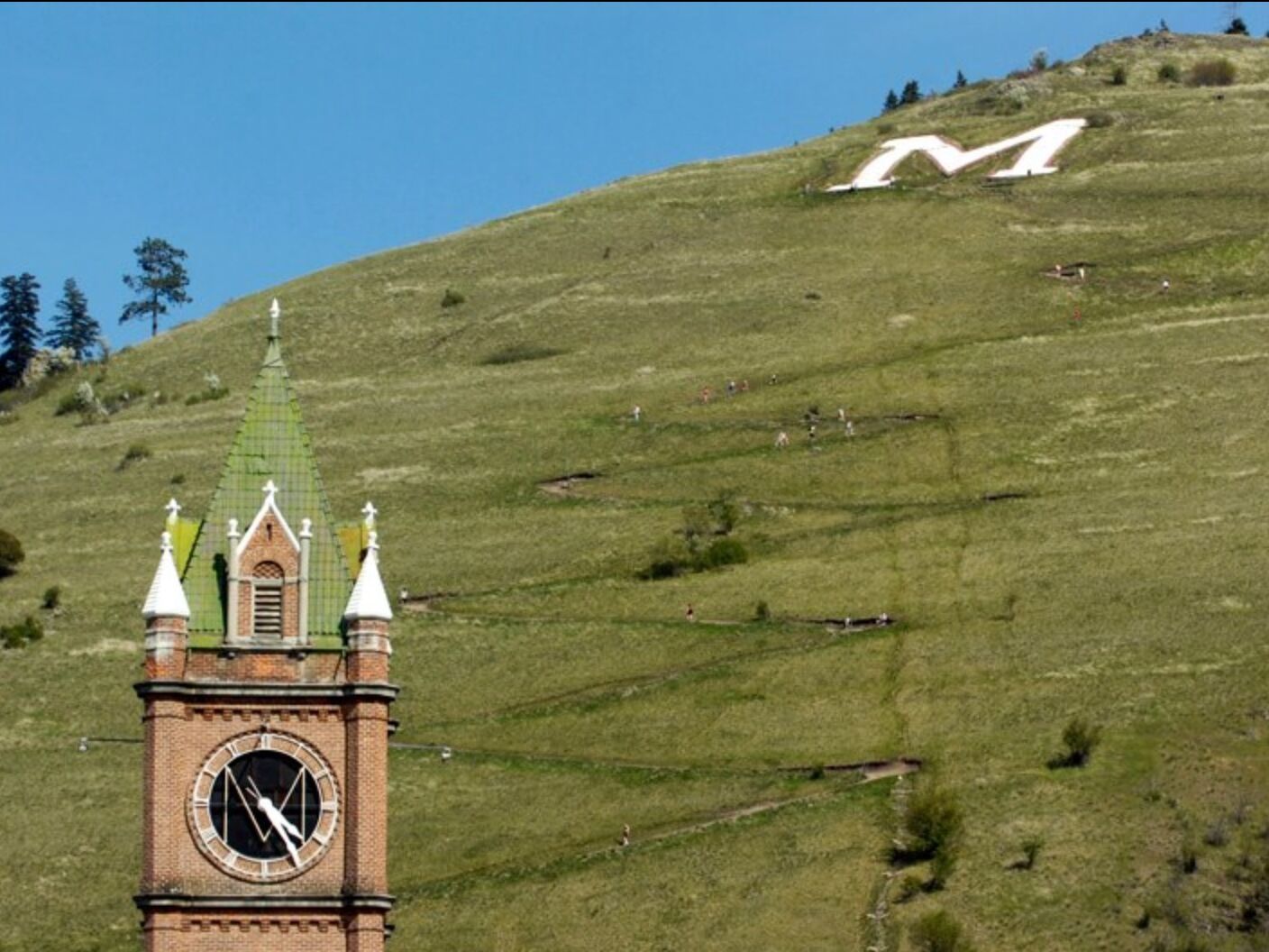 Picture of The M Trail