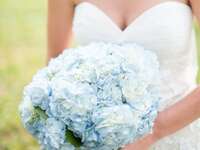 25 Fresh Hydrangea Wedding Bouquet Ideas 