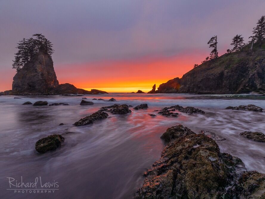 Picture of Olympic National Park