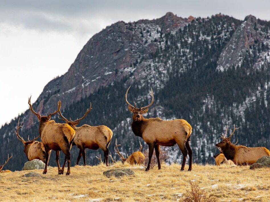 Picture of Rocky Mountain National Park
