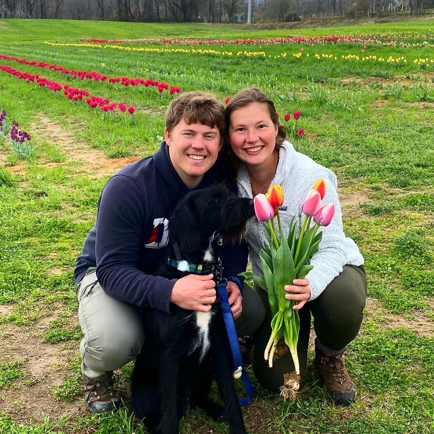 Introducing Ranger to one of Kathryn's favorite flowers, tulips, in the fields of Stepp's Hillcrest Orchard to welcome in Springtime!