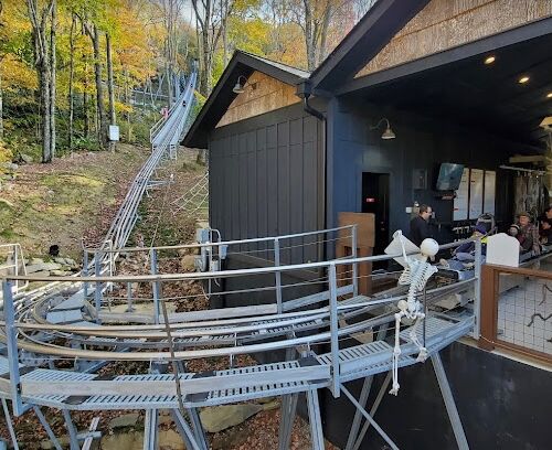 Picture of Mountain Coaster