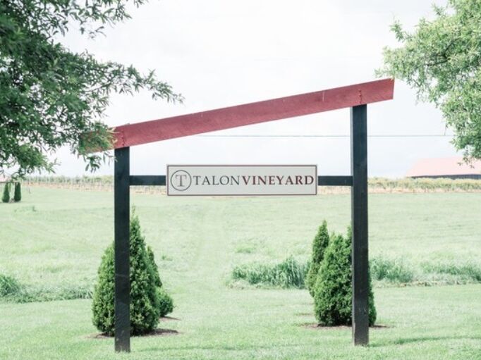 Picture of Talon Winery & Vineyards