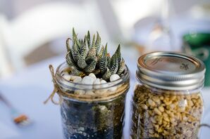 Mason Jar Potted Succulent Centerpieces
