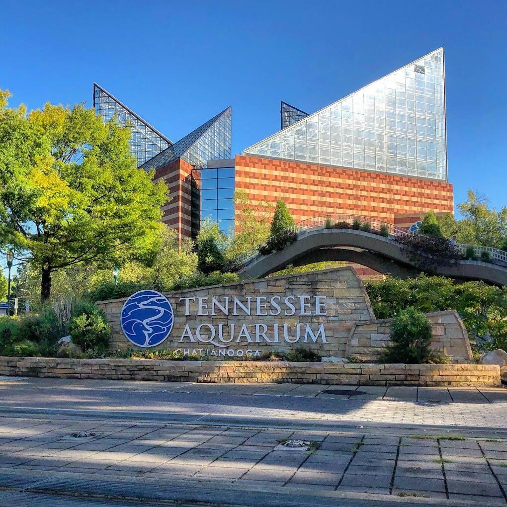 Picture of Tennessee Aquarium