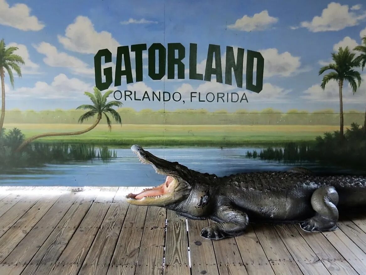 Picture of Gatorland