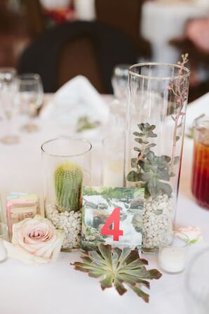 Cactus and Succulent Centerpieces