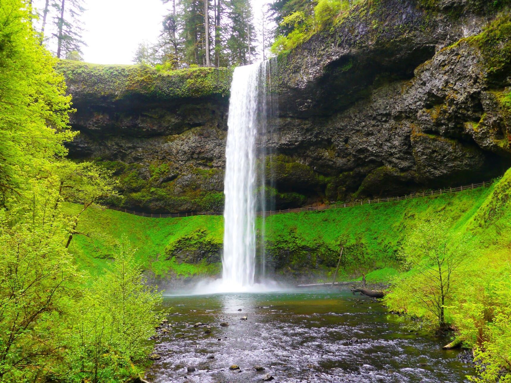 Picture of Silver Falls State Park