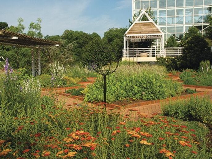 Picture of The State Botanical Garden of Georgia