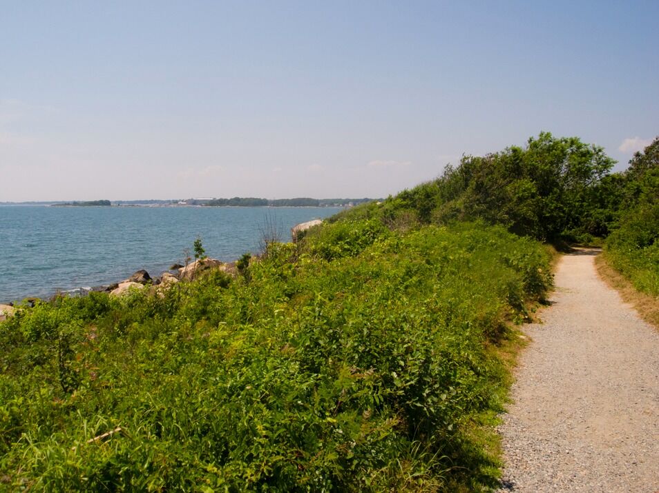 Picture of Bluff Point State Park