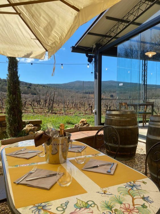Picture of Wine Tasting 