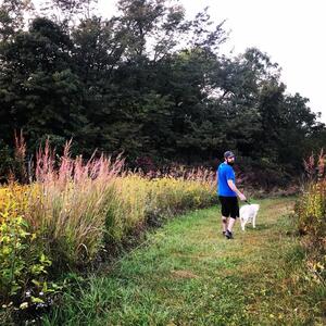 Gallery Photo 7