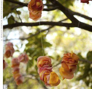 Multicolored rose petals on string were hung from the magnolia tree beneath which the couple exchanged traditional vows.