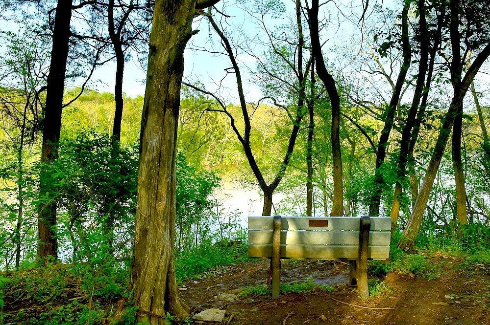 Picture of Yankauer Nature Preserve