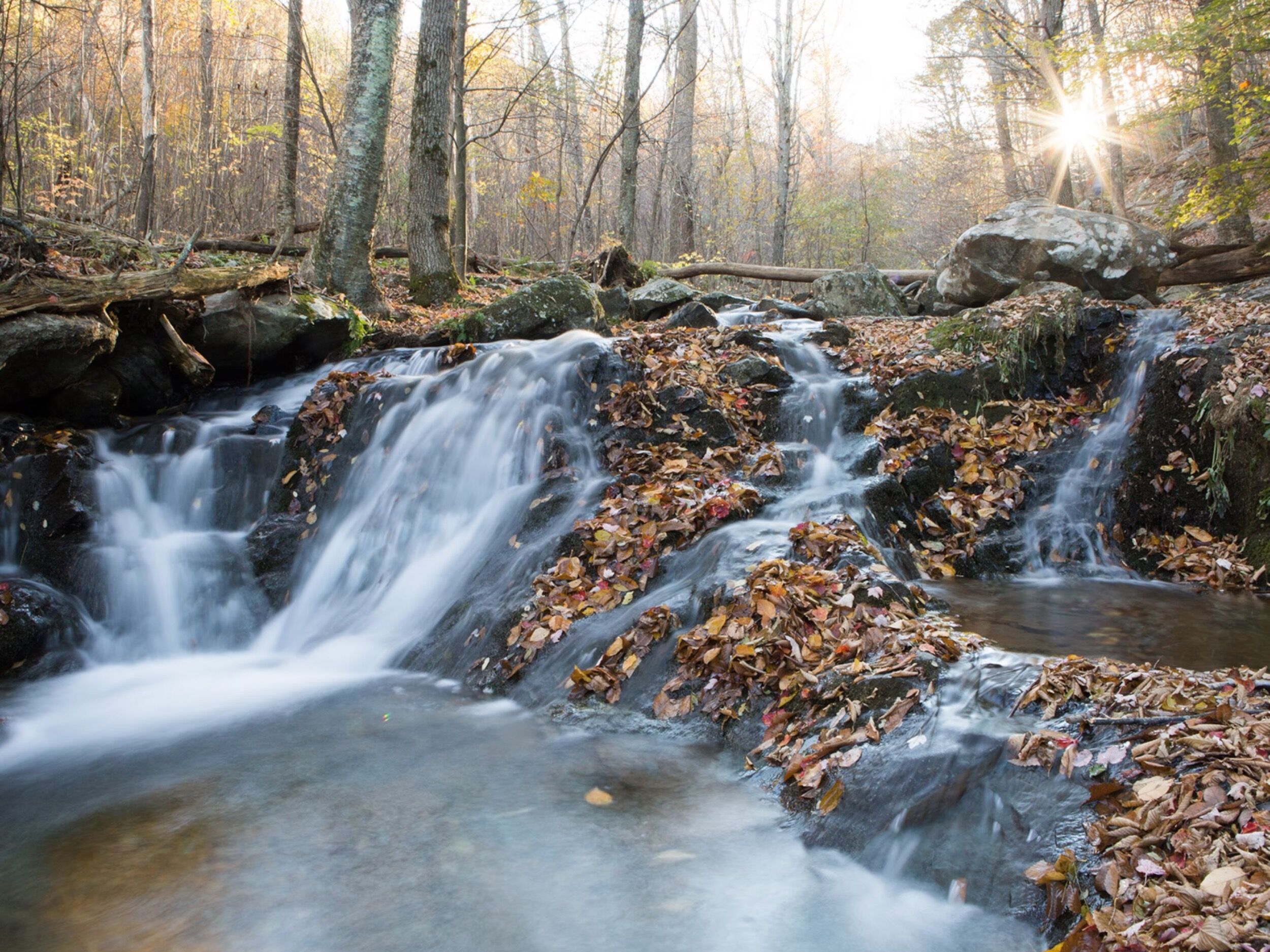 Picture of Shenandoah National Park
