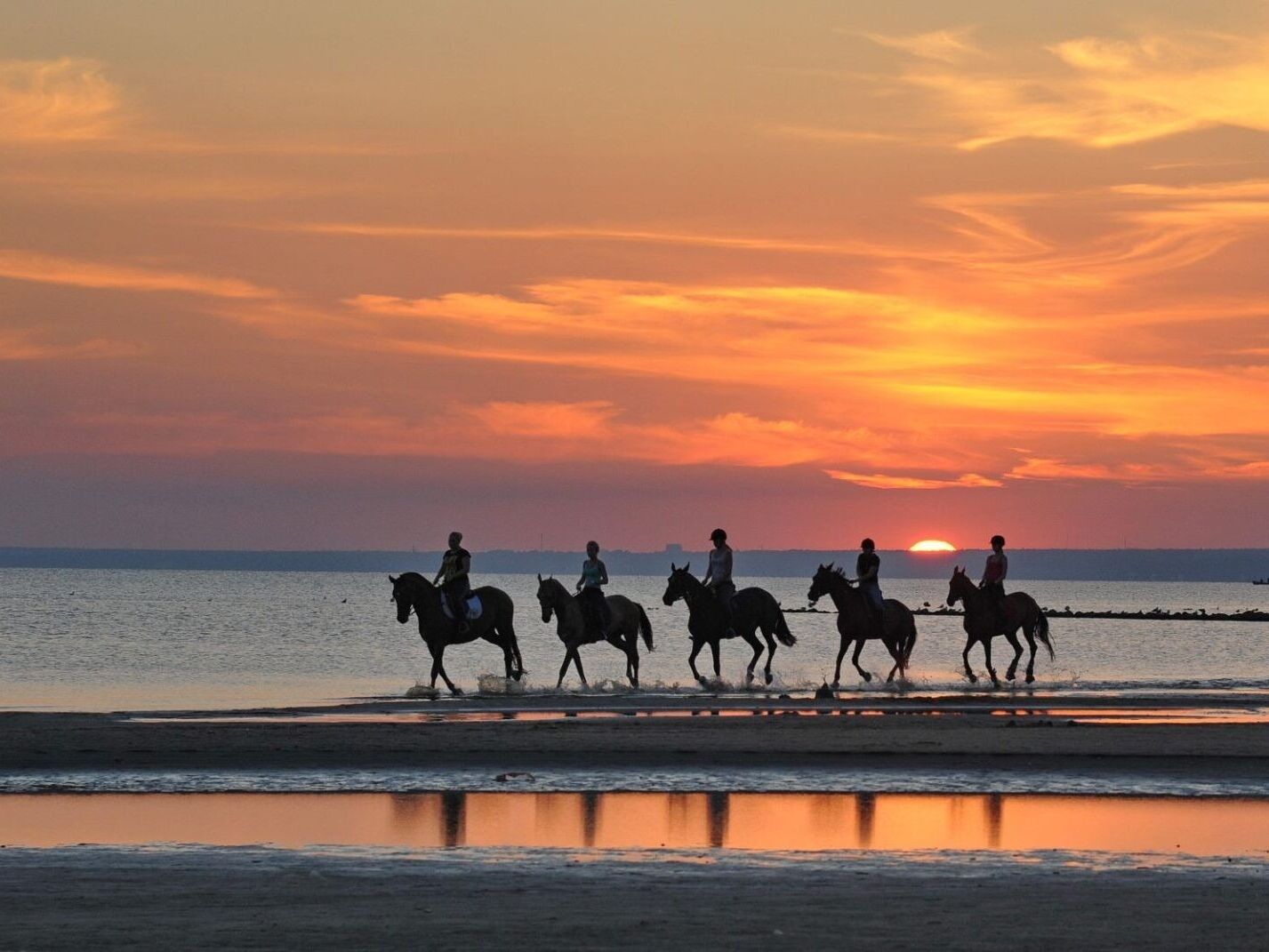 Picture of Punta Cana: Horseback riding on the beach with pickup