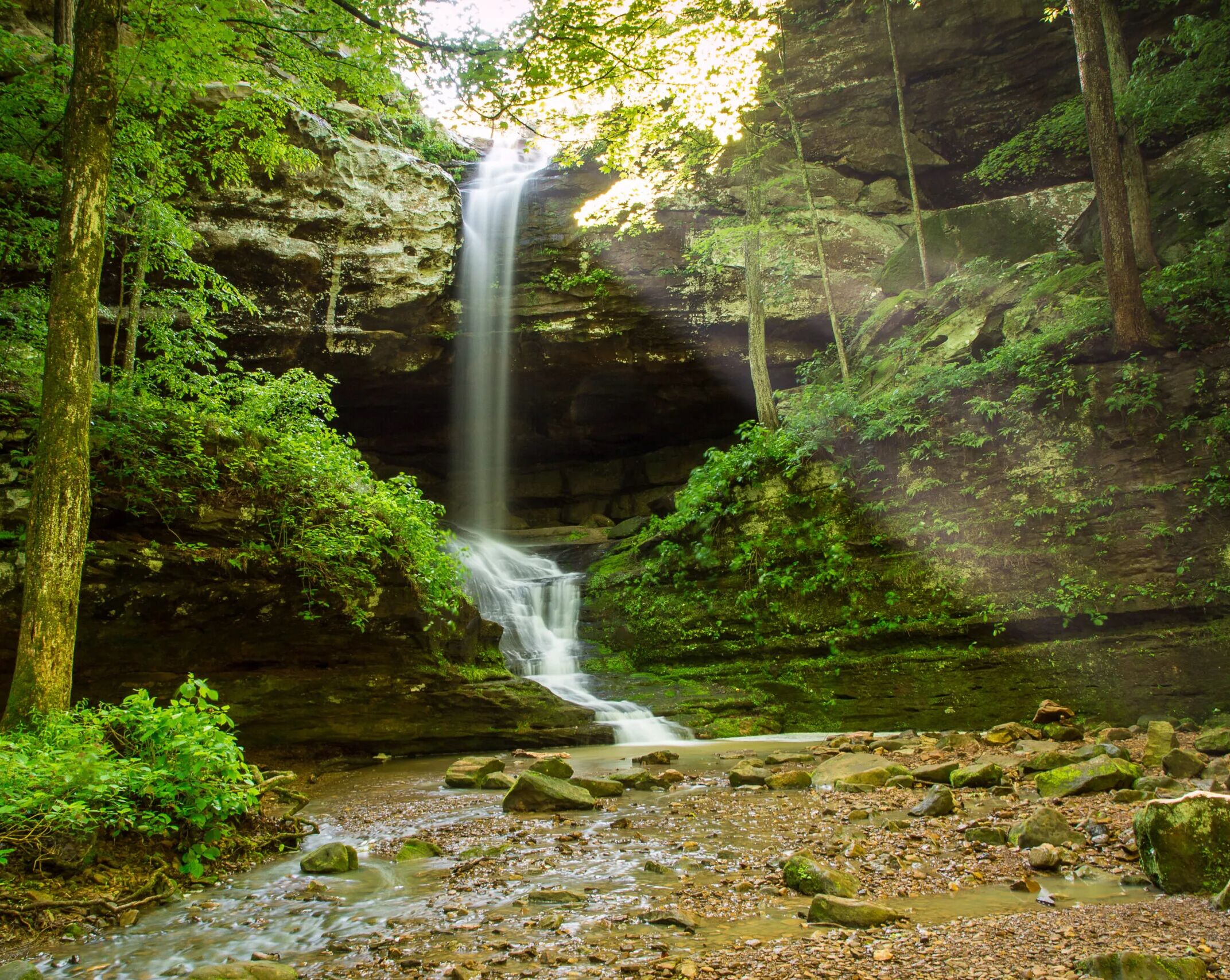 Picture of Ferne Clyffe State Park 