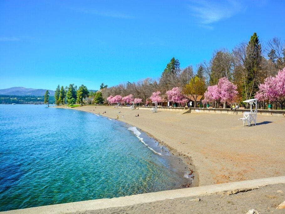 Picture of Lake Coeur d'Alene