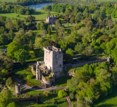 Picture of Blarney Stone 