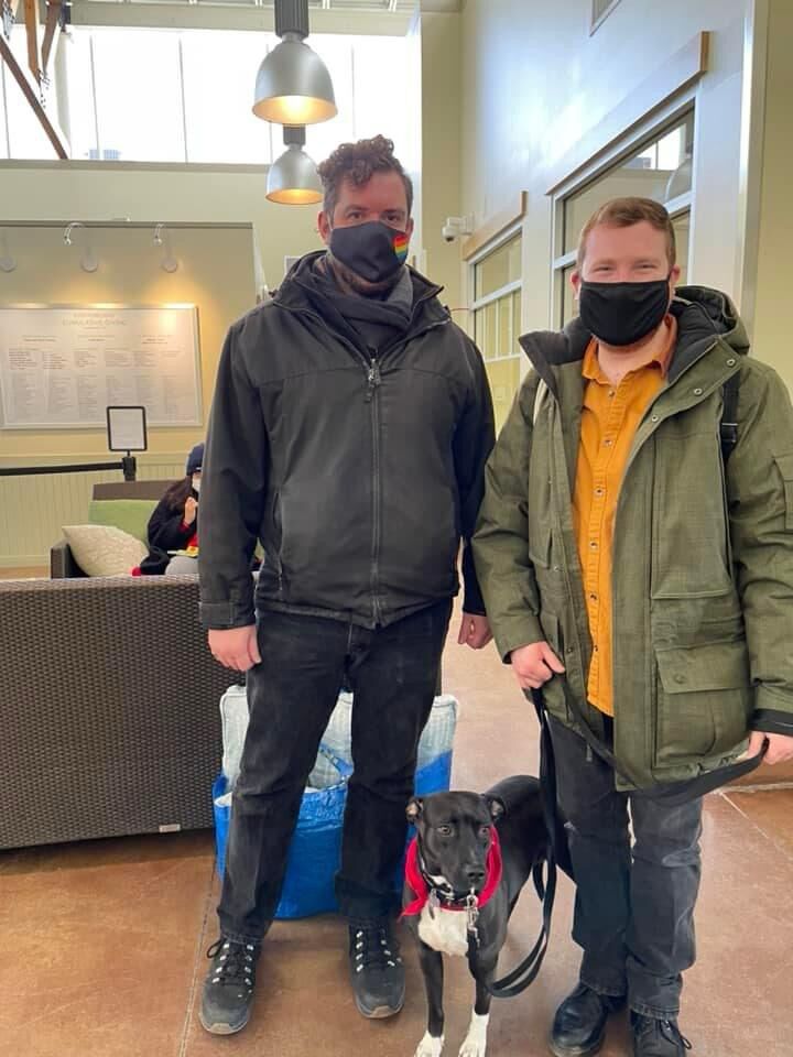 Picture of The Adoption
