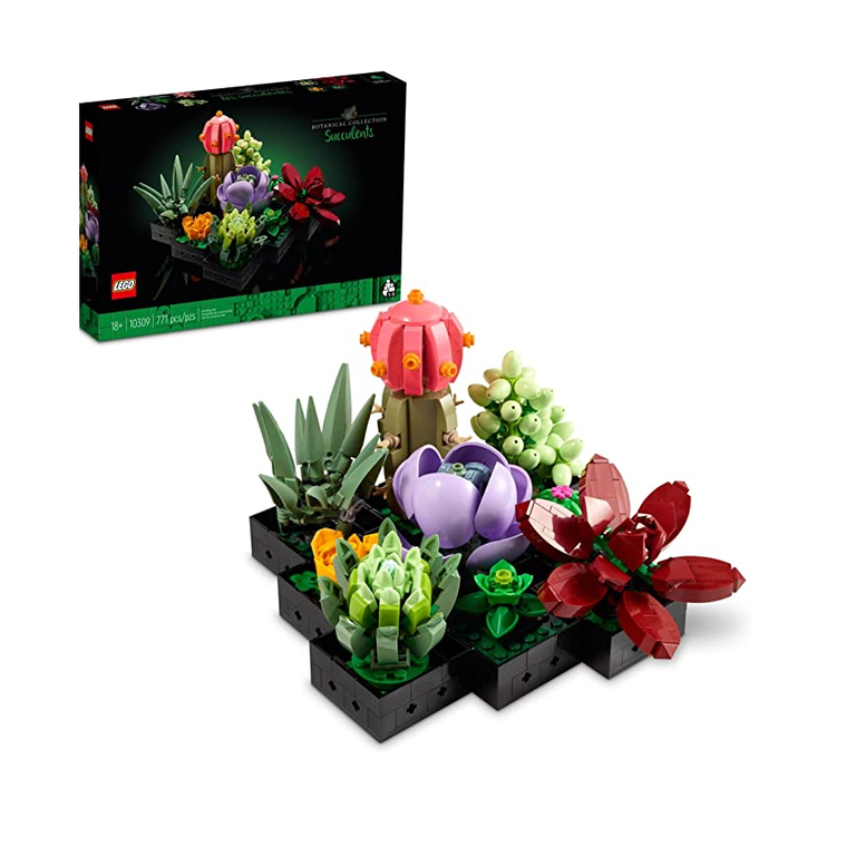 LEGO Succulent Set from Amazon for the best 11th wedding anniversary gift ideas