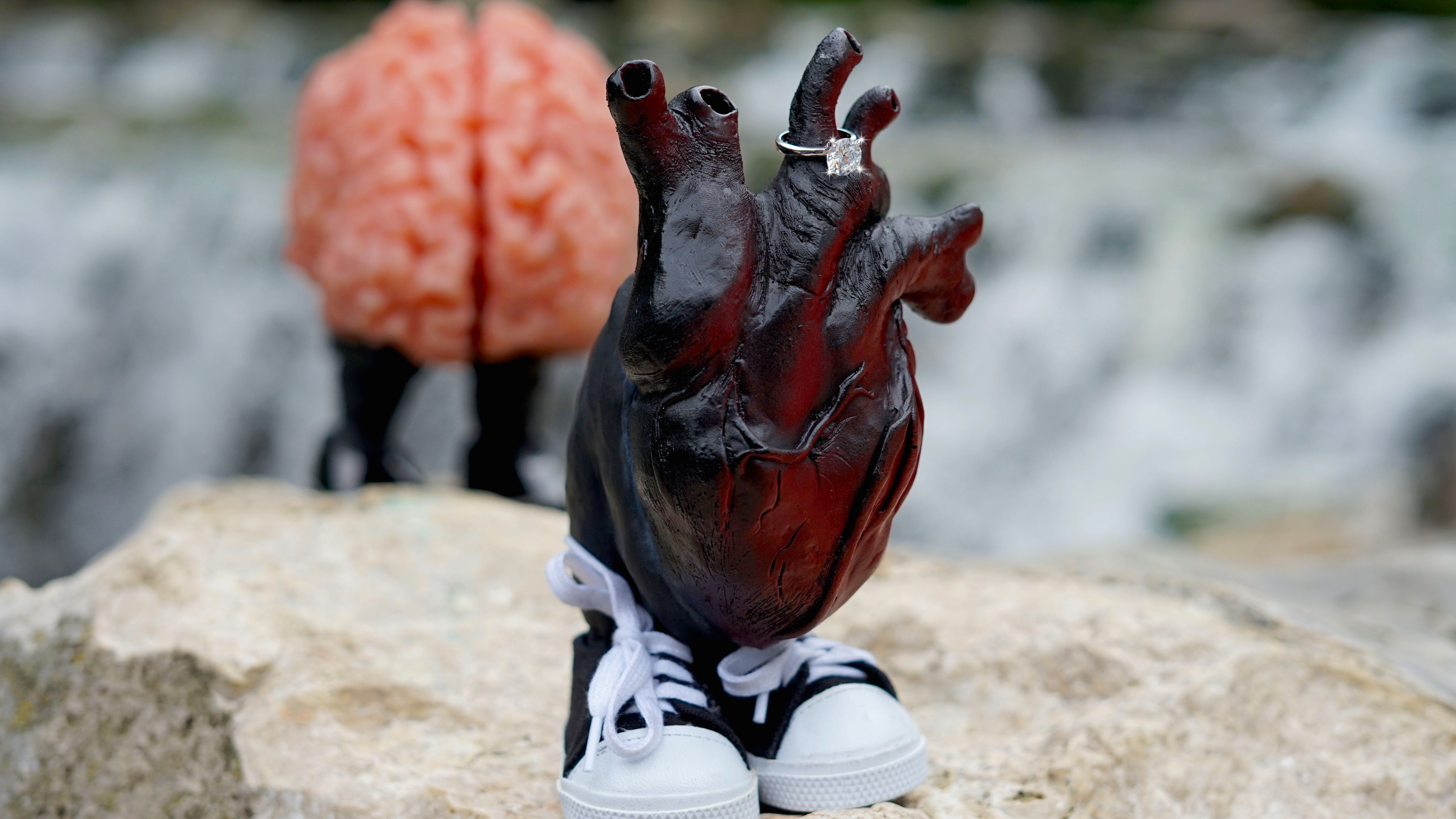 Album Photo 9
