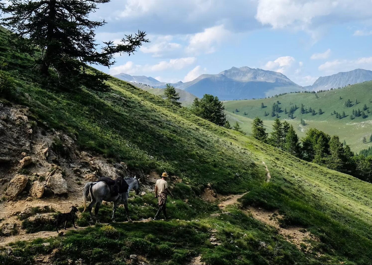 Picture of Horse & Ventures
