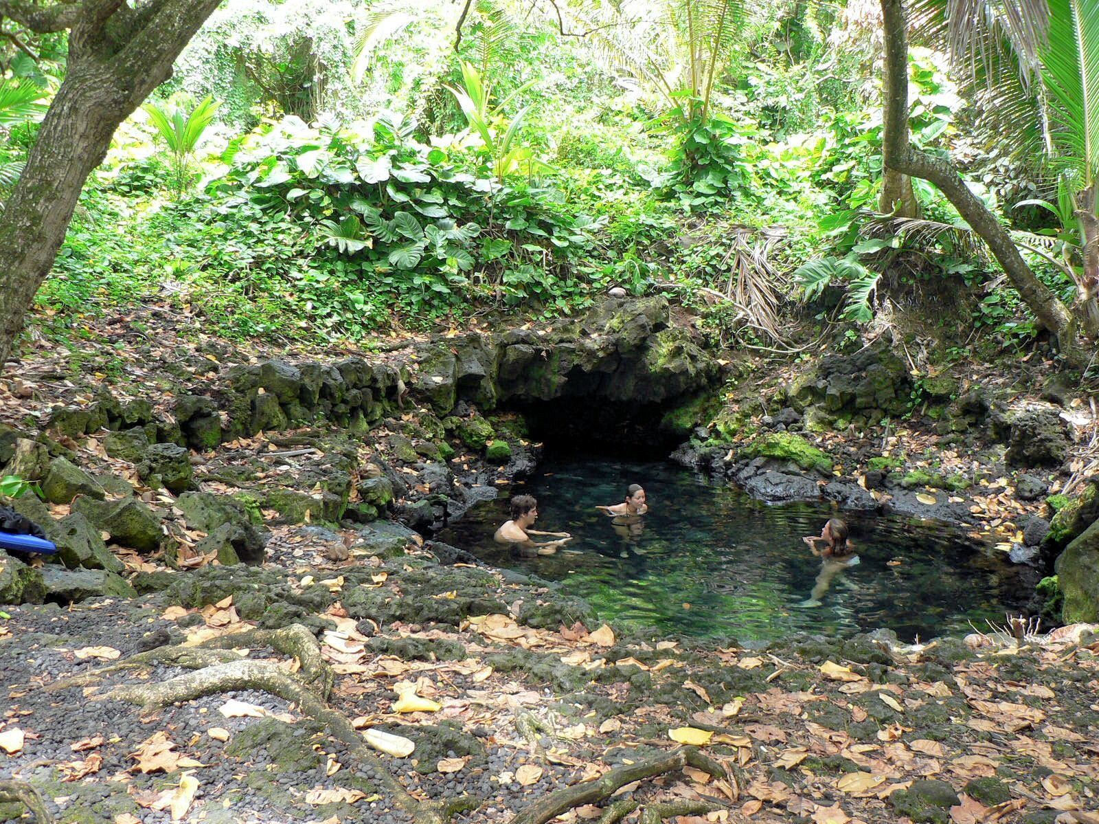 Picture of Pohoiki Bay and Hot Spring