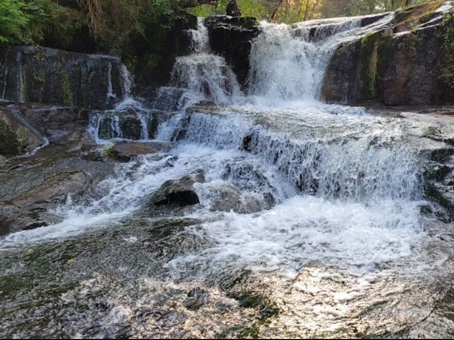 Picture of Alsea Falls Recreational Site