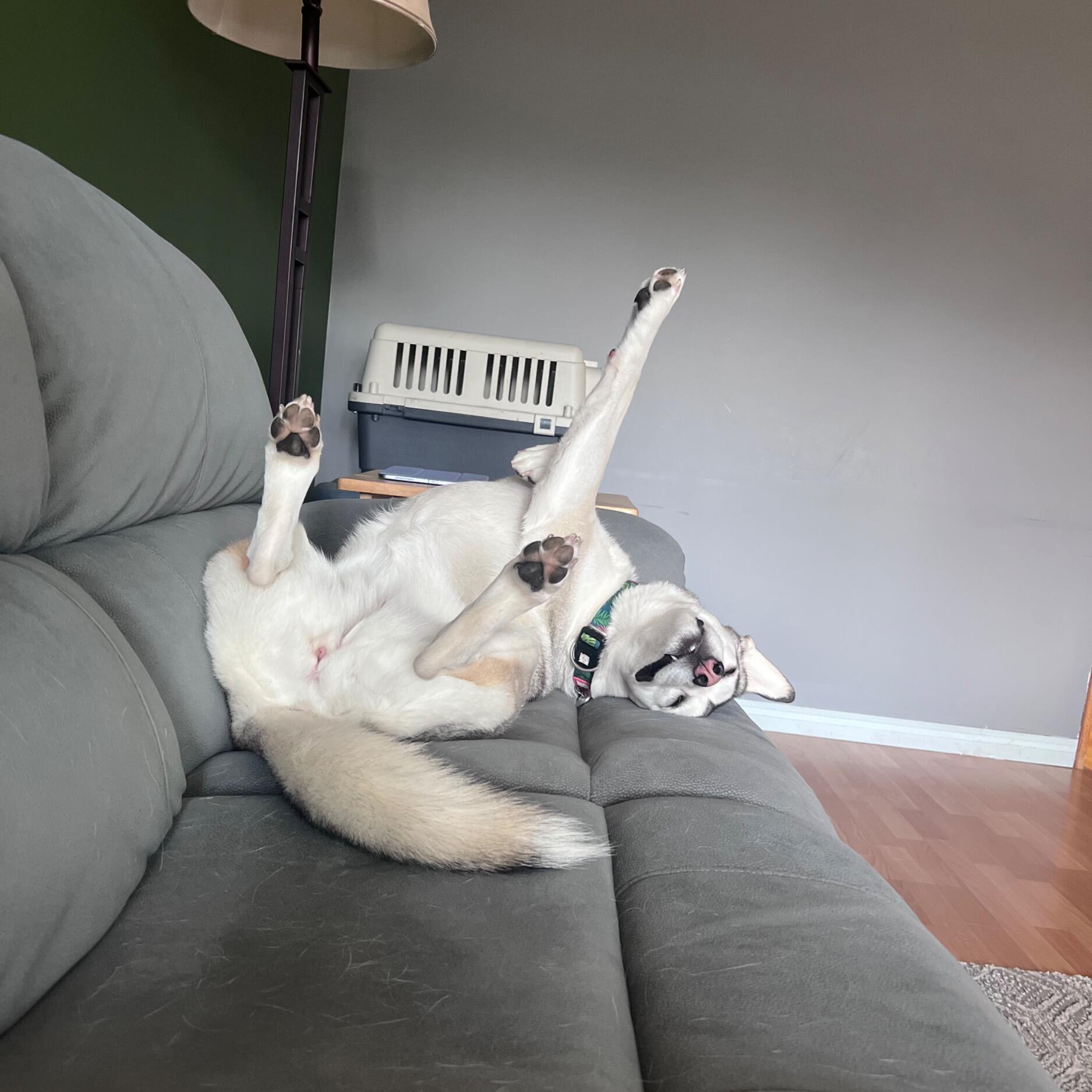 Bella Ratzlaff