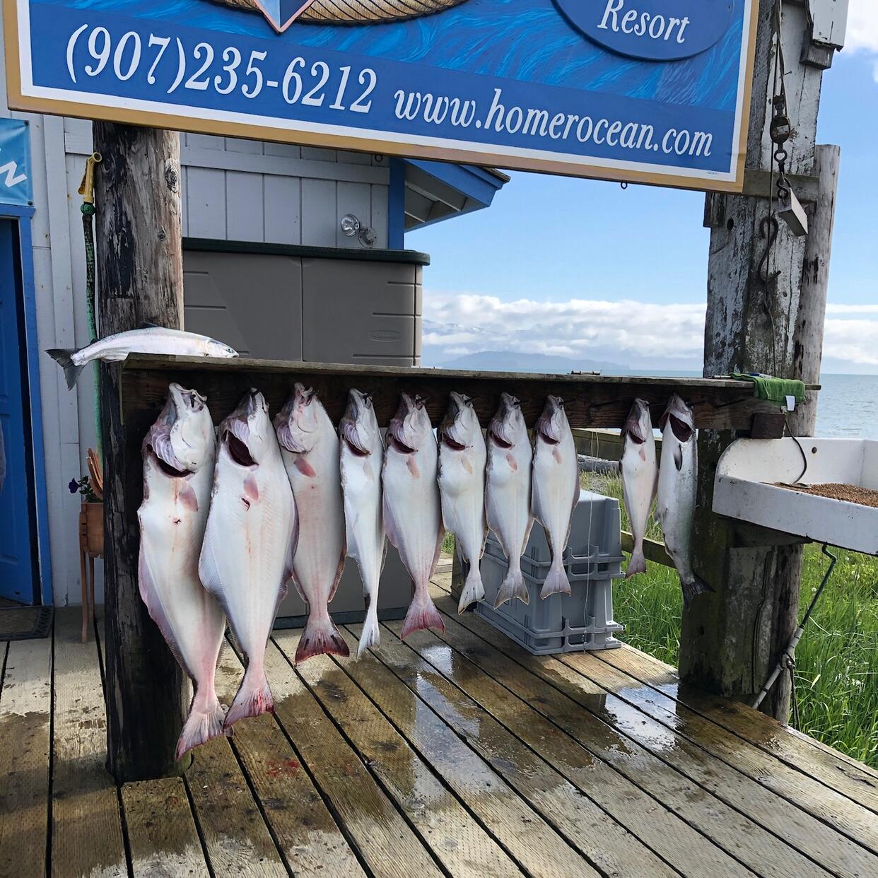 Picture of Homer Ocean Charters
