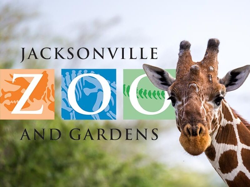 Picture of Jacksonville Zoo and Gardens