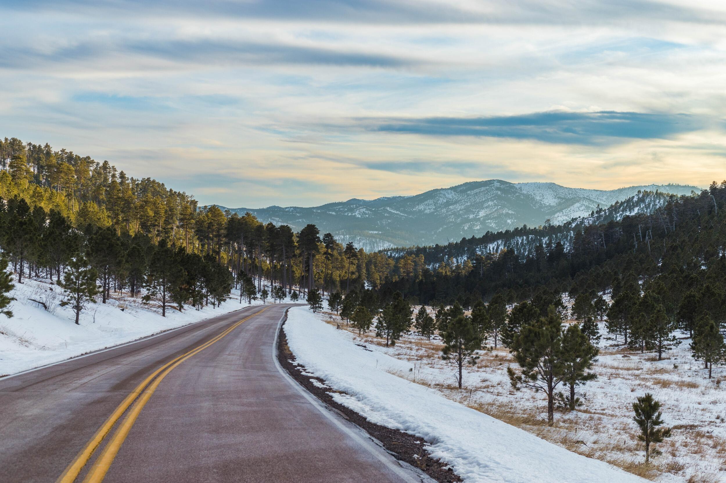 Picture of Custer State Park